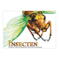 Rebo publishers book about insects, terrifying creatures