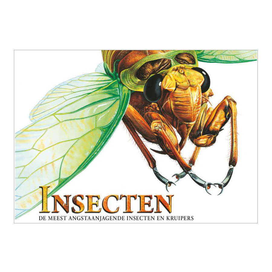 Rebo publishers book about insects, terrifying creatures