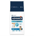 Advance Cat Adult Chicken & Rice dry cat food in a 3 kg bag, featuring a nutritious blend of chicken and rice for adult cats.