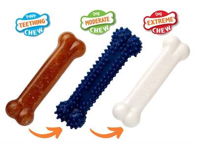 Nylabone Puppy Chew Starter Kit with chicken flavor, designed for puppies up to 11 kg, featuring durable chew toys from Nylabone.