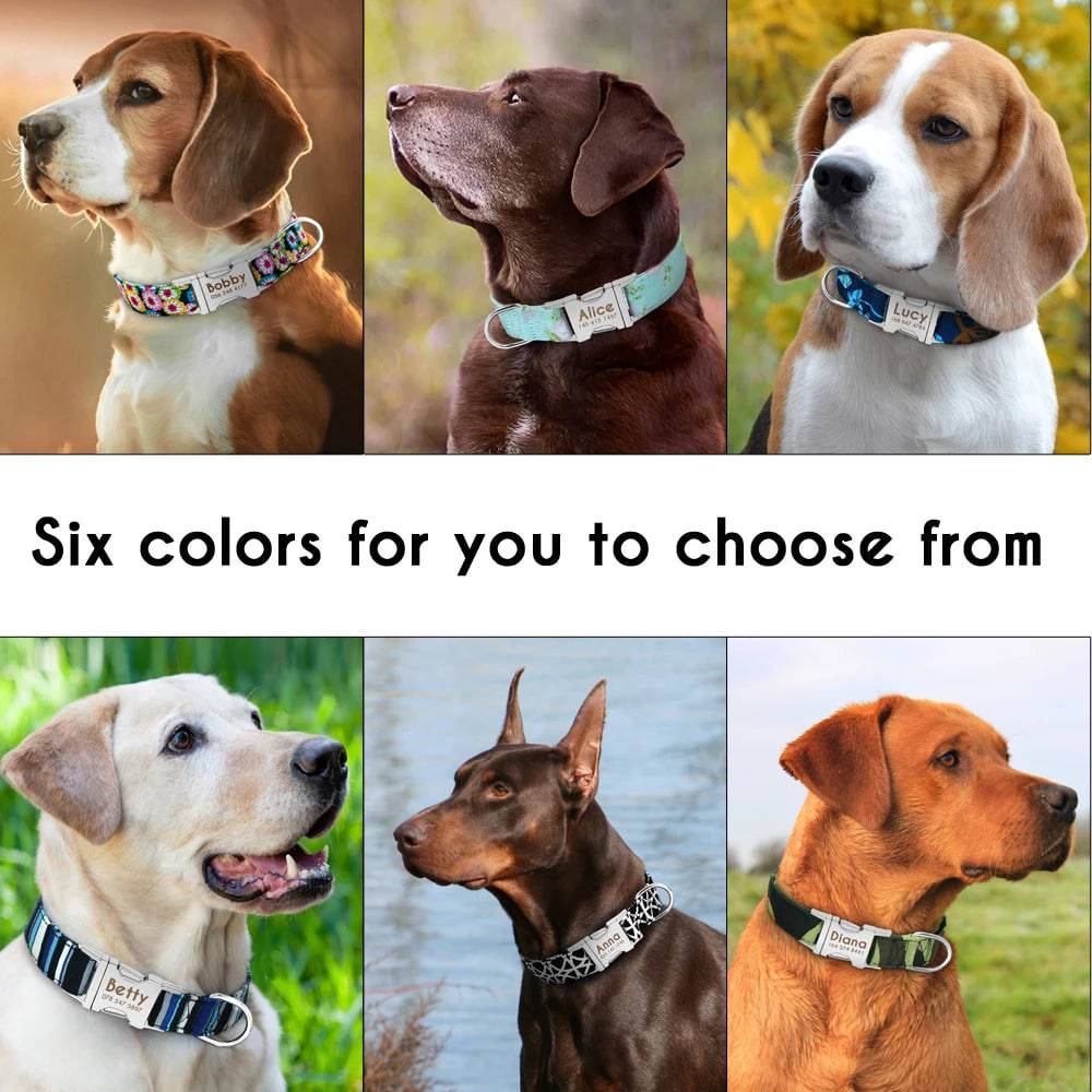 Blue nylon personalized dog collar with engraved ID tag from Pawciara, suitable for small to large dogs.