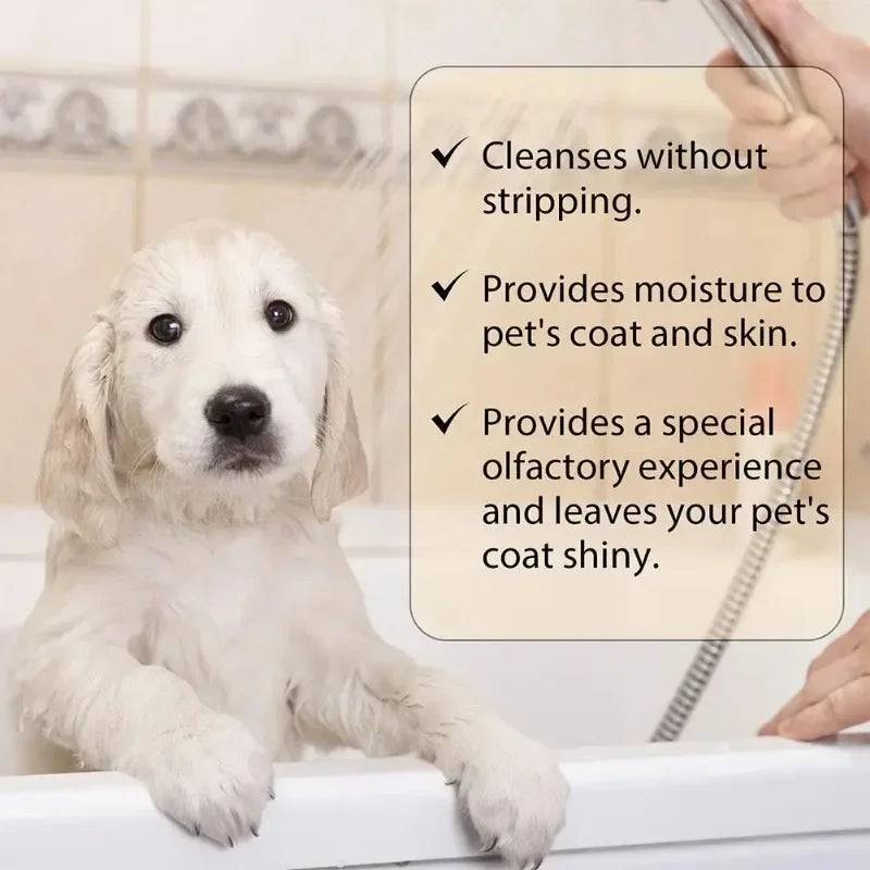 Pawciara Gentle Pet Shampoo for dogs and cats, moisturizing cleanser with softening and anti-mite properties, in a 300ml bottle.