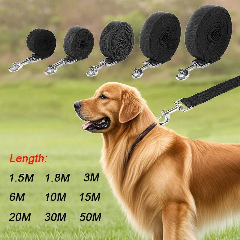 Black Pawciara long nylon dog training leash, 6 meters, sturdy and durable for small and large dogs during outdoor walks.