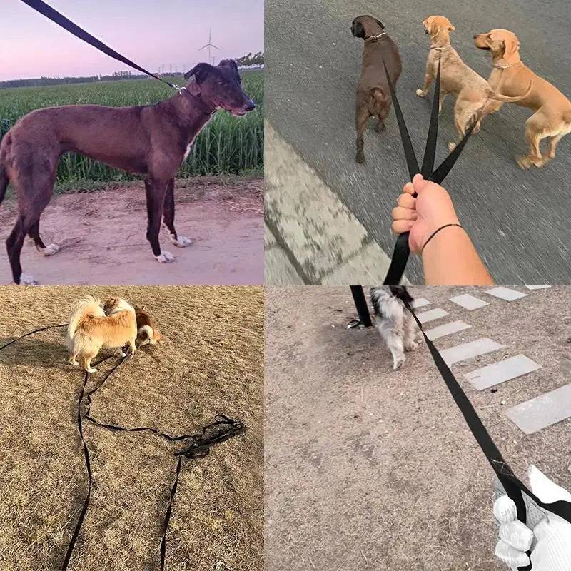 Black Pawciara long nylon dog training leash, 6 meters, suitable for small and large dogs, outdoor walking and training.