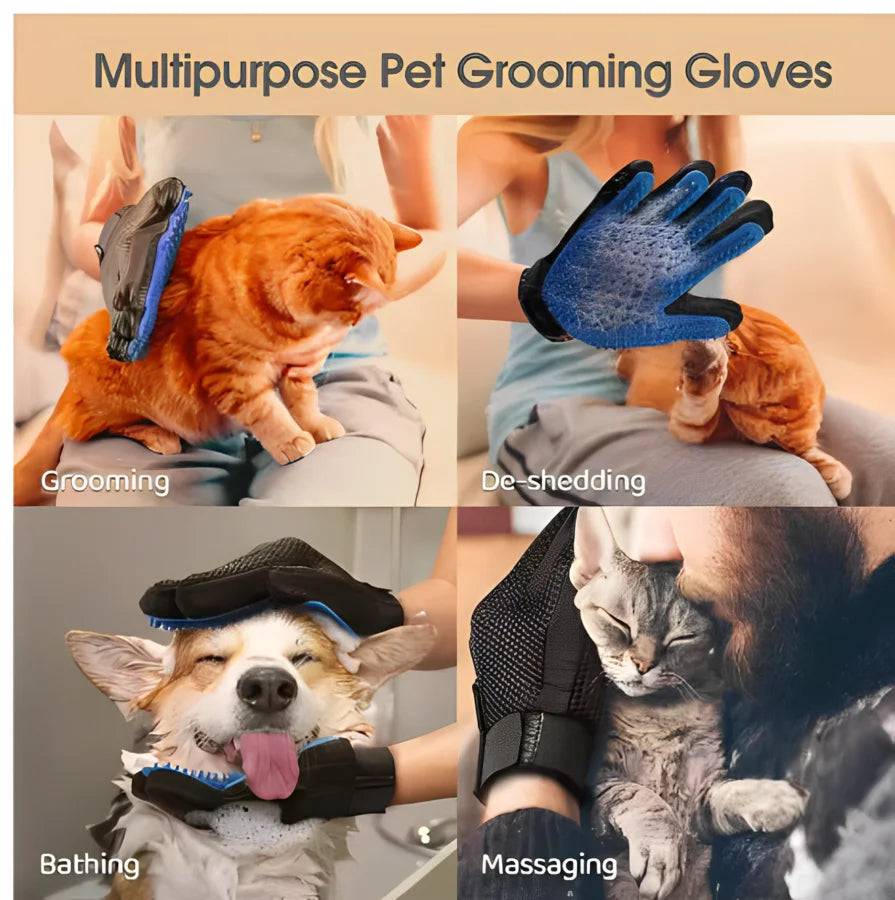 Black Pawciara pet hair glove for dogs and cats, grooming and deshedding brush with massage features for animal care.