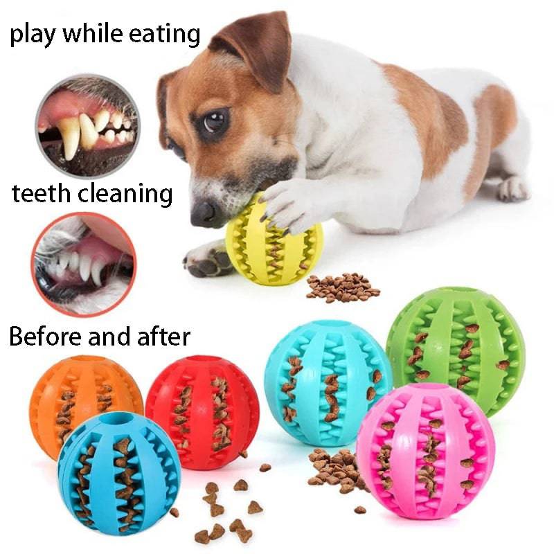 Pawciara natural rubber dog chew balls, 5cm diameter, set of 5, interactive pet toy for dental cleaning and chewing fun.