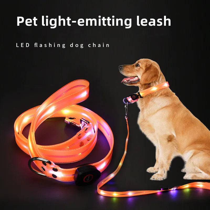 Pawciara USB rechargeable LED dog collar and leash set in orange with flashing lights, adjustable and suitable for nighttime walks.