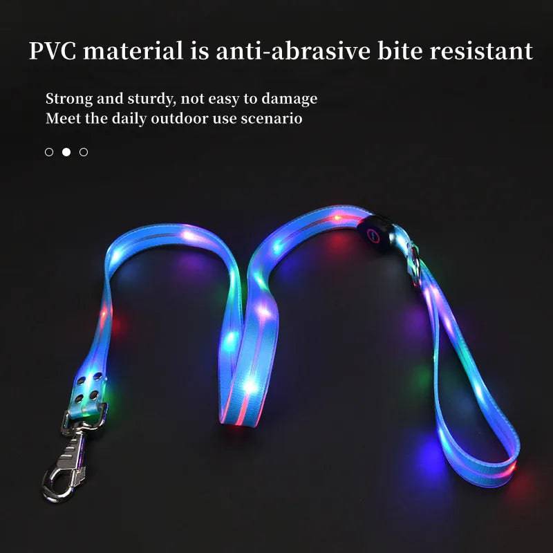 Pawciara USB rechargeable LED dog collar and leash set in orange, adjustable with flashing light for nighttime walking.
