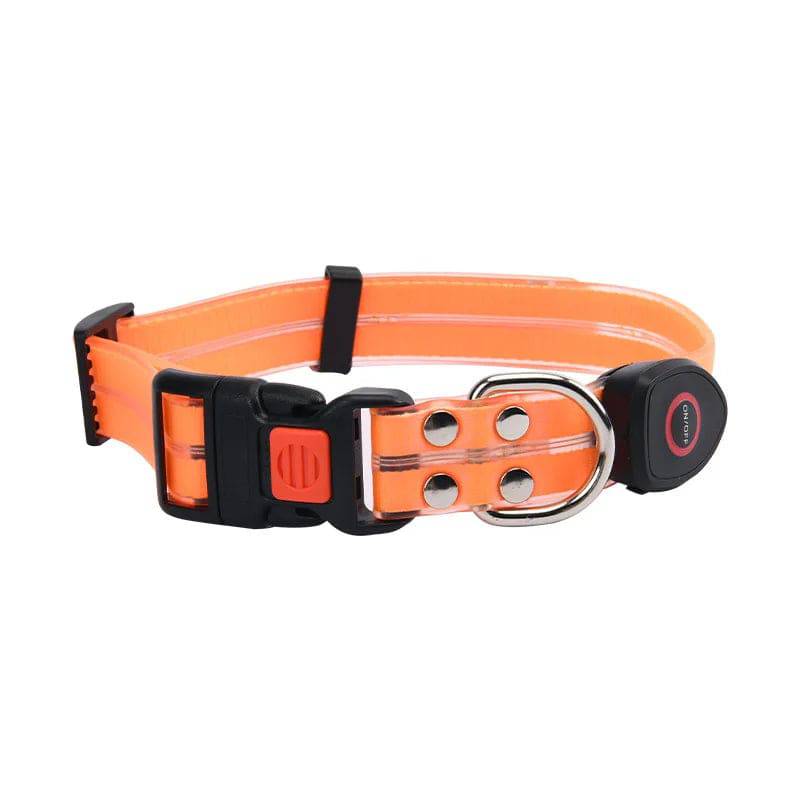 Pawciara USB rechargeable LED dog collar and leash set in orange, adjustable, flashing light for safe nighttime dog walks.
