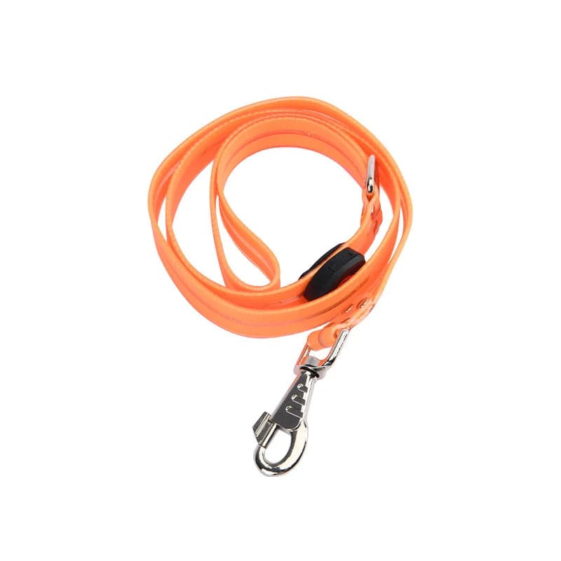USB rechargeable LED dog collar and leash set by Pawciara, adjustable, flashing light for safe nighttime walks.