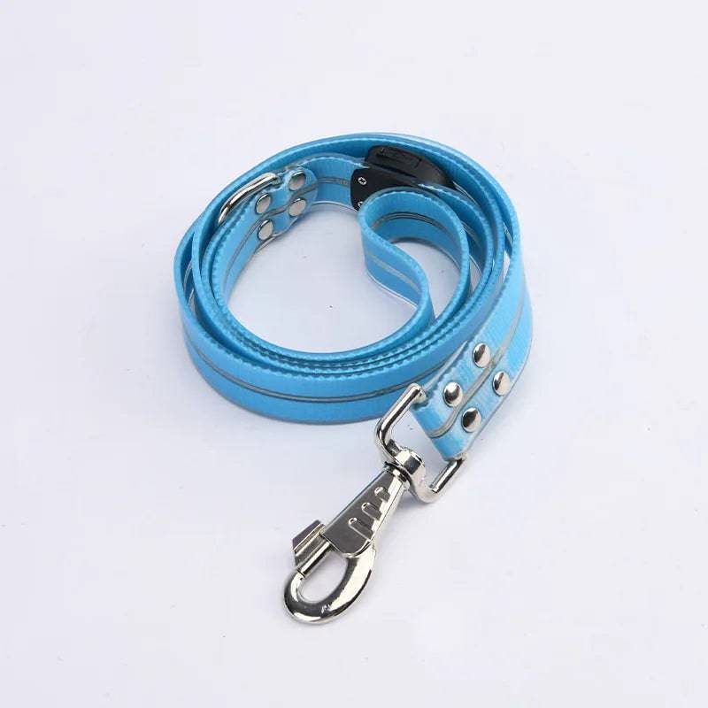 Pawciara USB rechargeable LED dog collar and leash set in orange, adjustable flashing light for nighttime walking.