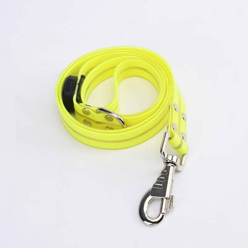 Pawciara USB rechargeable LED dog collar and leash set, adjustable, orange, flashing light, perfect for nighttime dog walking.