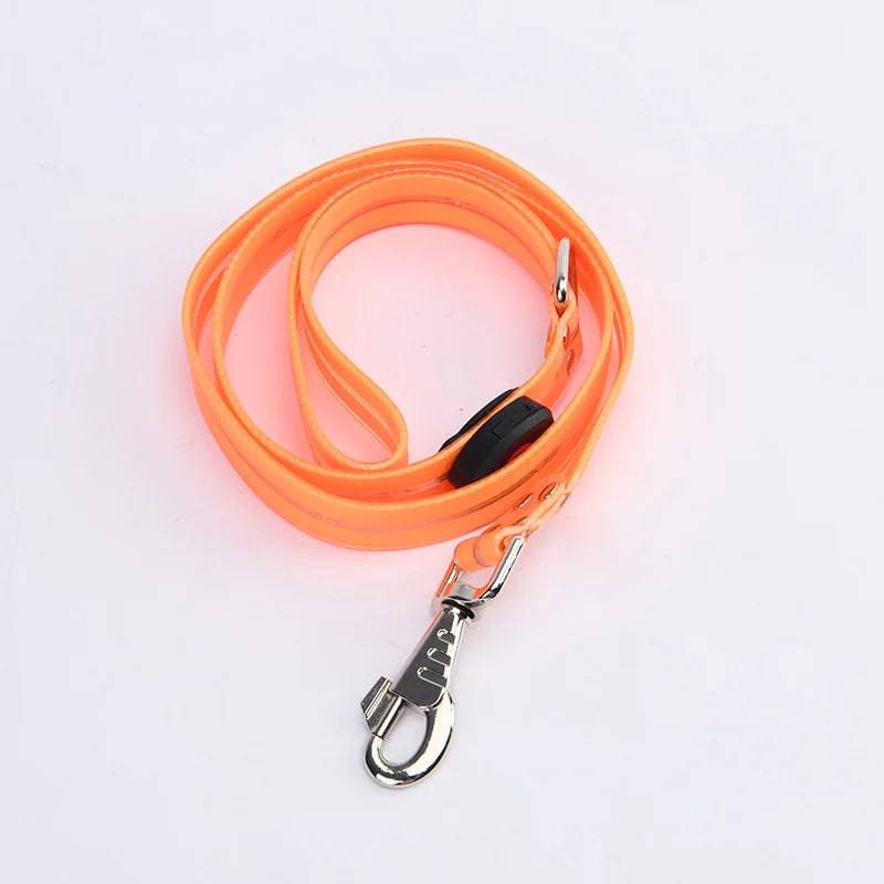 Pawciara USB rechargeable LED dog collar and leash set in orange with adjustable flashing light for safe nighttime dog walking.