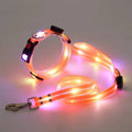 Pawciara USB rechargeable LED dog collar and leash set in orange with flashing light, adjustable for walking and safety.