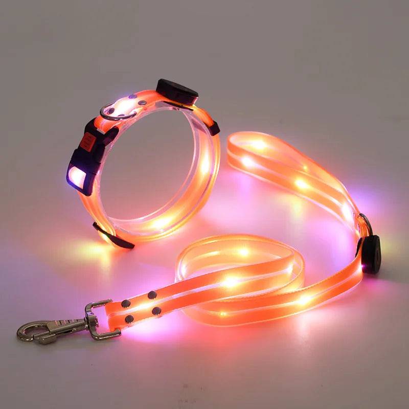 Pawciara USB rechargeable LED dog collar and leash set in orange with flashing light, adjustable for walking and safety.
