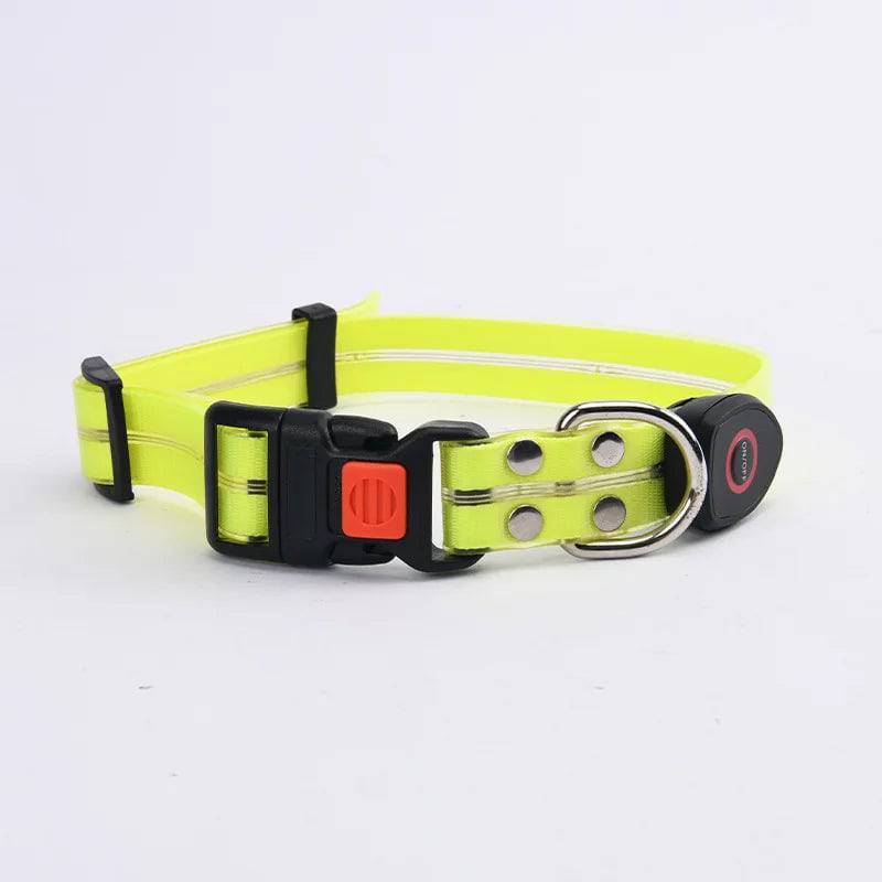 Pawciara USB rechargeable LED dog collar and leash set in orange, adjustable, flashing light for safe nighttime dog walking.
