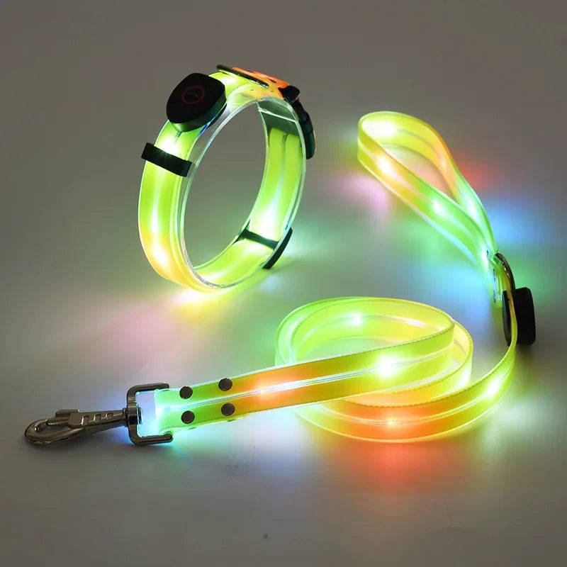 USB rechargeable LED dog collar and leash set by Pawciara, adjustable flashing light for safe nighttime dog walking.