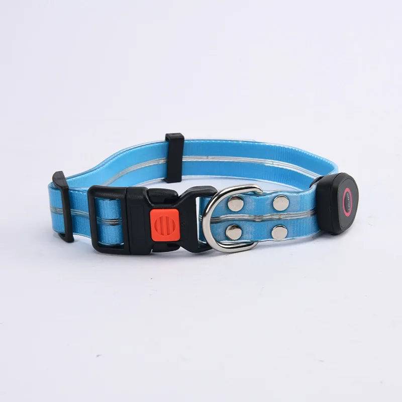 Pawciara USB rechargeable LED dog collar and leash set in orange with flashing light, adjustable for walking and outdoor safety.