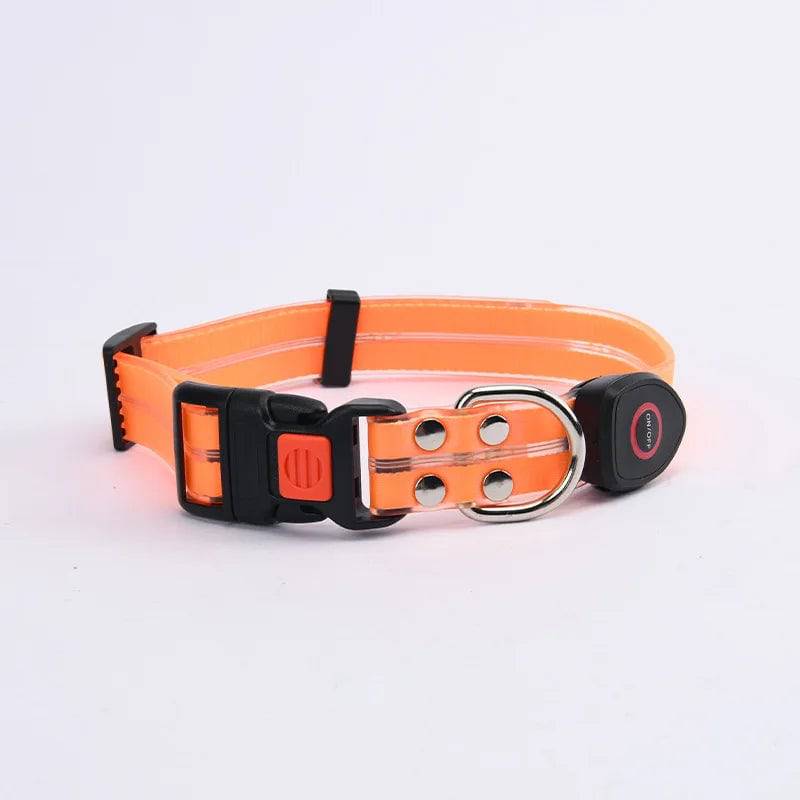Pawciara USB rechargeable LED dog collar and leash set in orange with flashing light, adjustable for walking and safety.