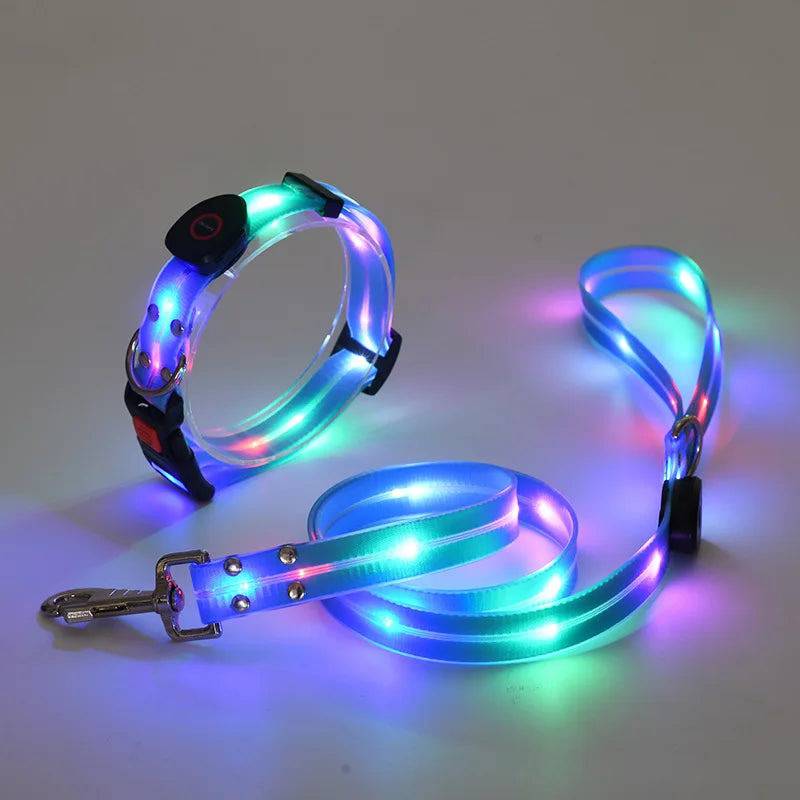 Pawciara USB rechargeable LED dog collar and leash set in orange with flashing lights, adjustable for walking and safety.