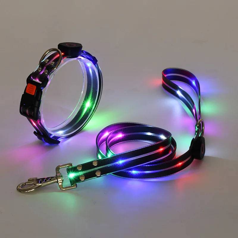Pawciara USB rechargeable LED dog collar and leash set in orange with flashing light, adjustable for walking and safety.