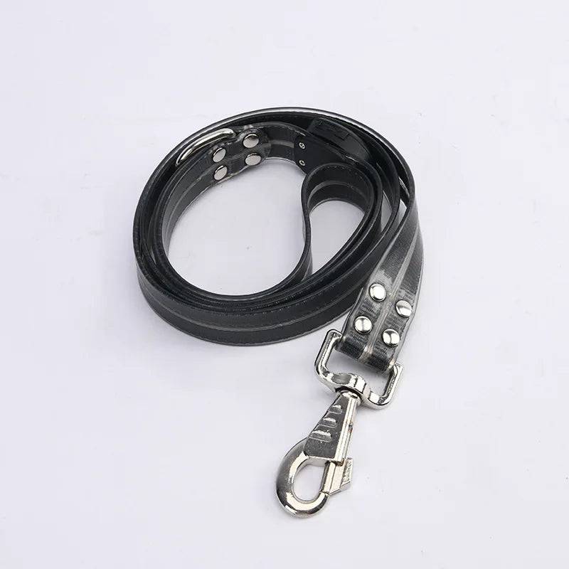 Pawciara USB rechargeable LED dog collar and leash set with bright flashing lights, adjustable for walking and safety.