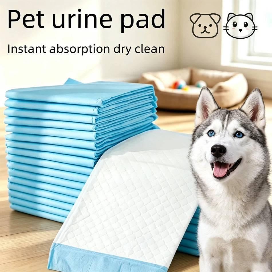 Pawciara absorbent dog and cat pee pads, disposable training pads with dry clean cushion, ideal for pet training and accidents.