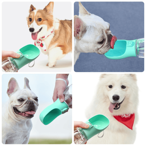 Green Pawciara portable pet water dispenser for dogs and cats, 550ml travel water bottle with built-in drinking tray.