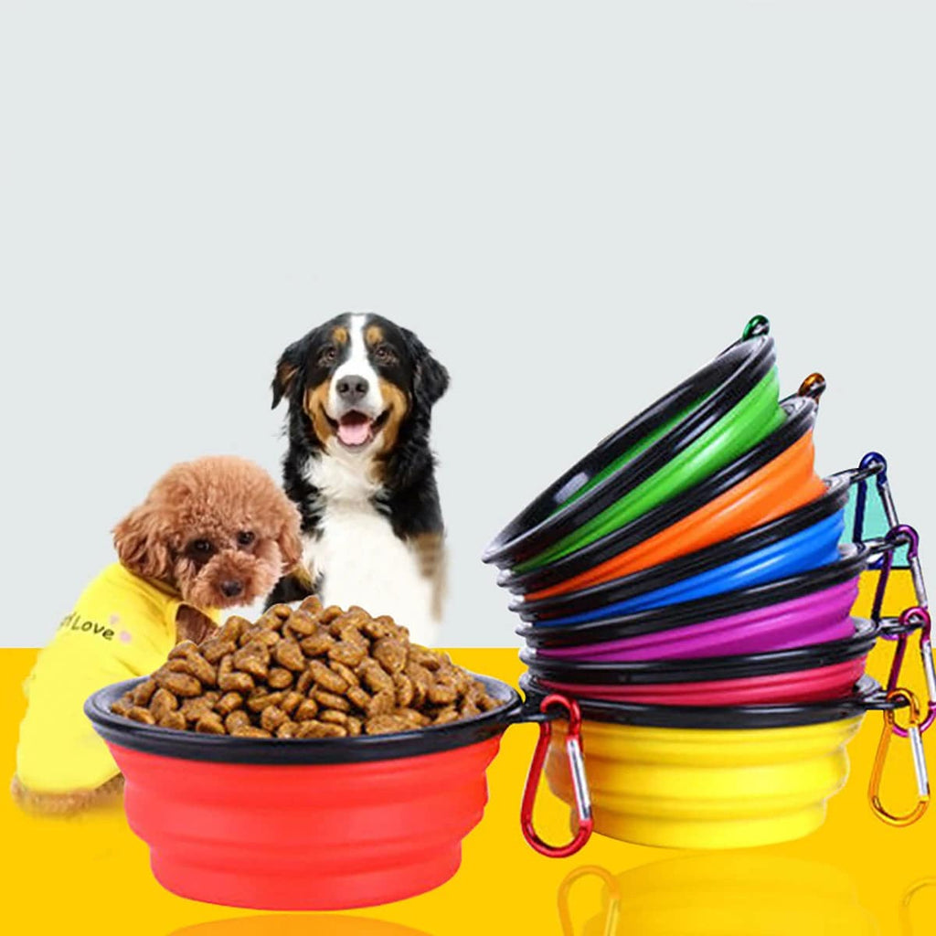 Pawciara white collapsible silicone pet bowl with carabiner, portable dog food and water dish for outdoor camping and travel.