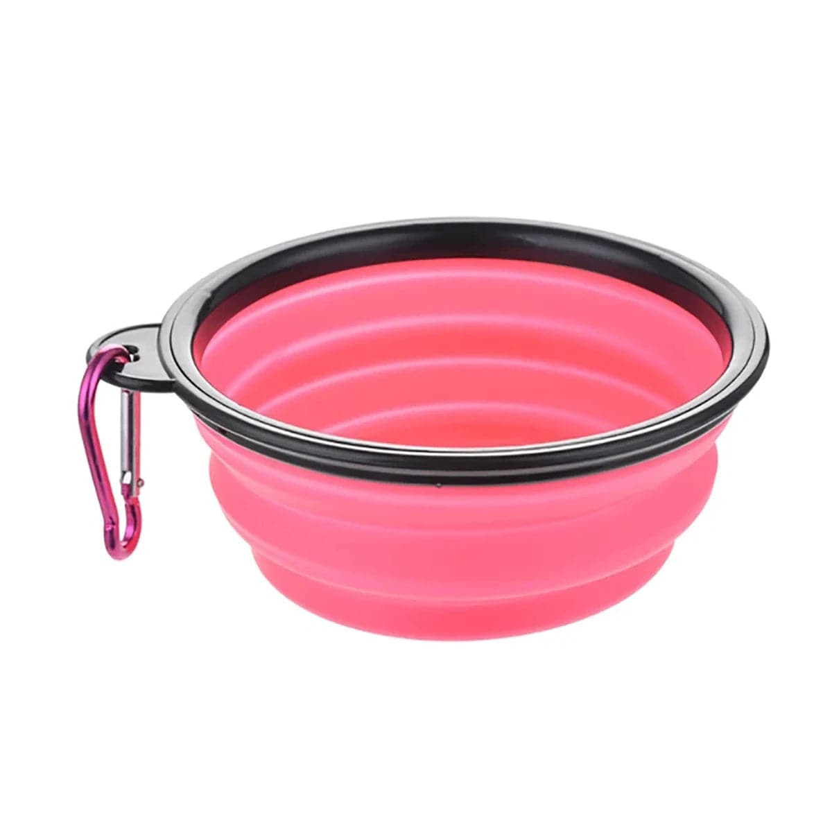Pawciara white collapsible silicone pet bowl for food and water, portable and foldable with a carabiner for outdoor travel.