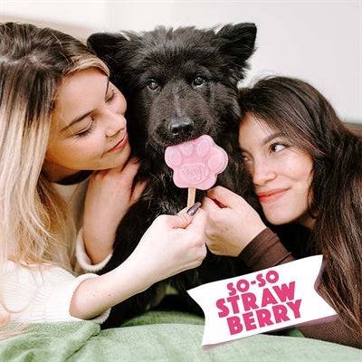 Smoofl Dog Ice Cream Mix Strawberry, 160 g, Smoofl hard snack in a glass container with fresh strawberries for dogs