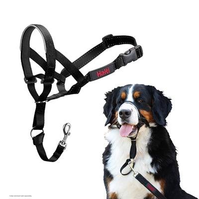 Black Company of Animals Halti headcollar for dogs, adjustable, with a padded nose strap and control loop.