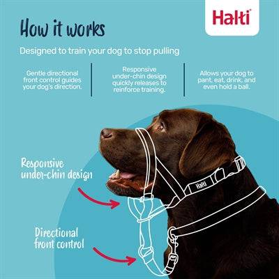 Black Company of Animals Halti headcollar for dogs, nylon strap with adjustable fit and metal buckle, designed for gentle control.