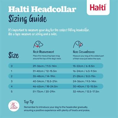 Black Company of Animals Halti headcollar for dogs, showing adjustable straps and sturdy design for gentle control.