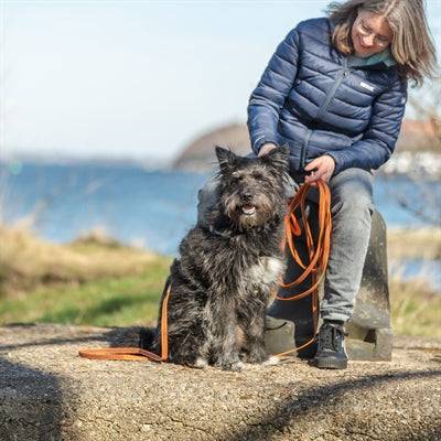Orange Trixie long training lead with rubber coating, 5m nylon halband/koppel for dogs, durable and comfortable to handle.