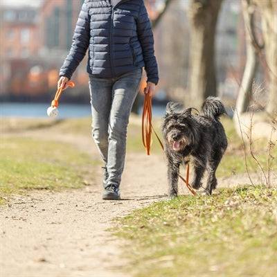 Trixie long training lead with orange rubber coating, 5 meters, nylon leash for dogs, durable and comfortable for training.