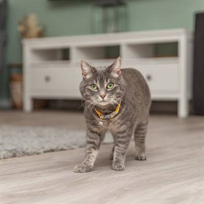 Trixie checkered nylon cat collar and leash set in assorted colors, 20-30 cm length, 1 cm width, for small cats.