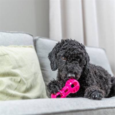 Pink Trixie Soft & Strong TPR Dumbbell dog toy, 11x5x5 cm, durable chew toy for dogs with textured surface for added grip.
