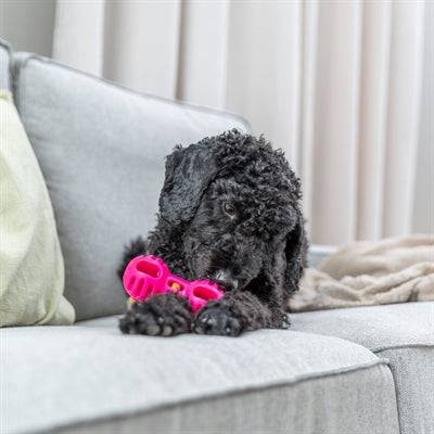 Pink Trixie Soft & Strong TPR Dumbbell dog toy, 11x5x5 cm, durable and lightweight for playful fetch sessions.