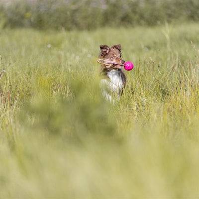 Pink Trixie Soft & Strong Throw Ball made of TPR, designed for dogs, with a durable and soft texture for play.