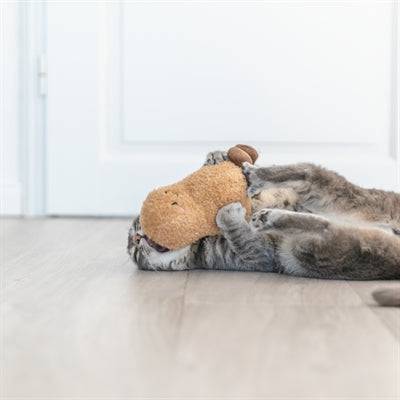 Trixie XXL Peanut Plush Toy for cats with American catnip, 20 cm, soft fabric and playful design.