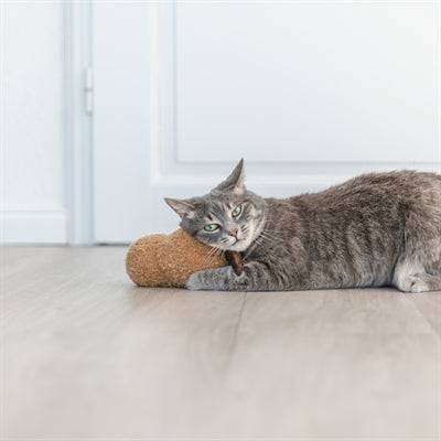 Trixie XXL Peanut Plush Toy for cats with American catnip, 20 cm, soft and colorful pet toy by Trixie.