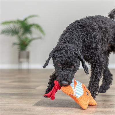 Orange Trixie starfish rope toy for pets, measuring 22x18x7.5 cm, made of durable materials for playful chewing and tugging.
