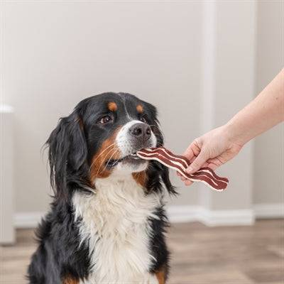 Trixie Premio Bacon Strips with Duck Breast and Beef, 80g, TUGG snacks for dogs, showing bacon and meat treats.