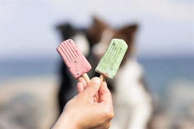 Red Trixie Ice Pop for dogs from the SOMMAR line, 55g, featuring a fun, freezeable treat with a stick for easy feeding.