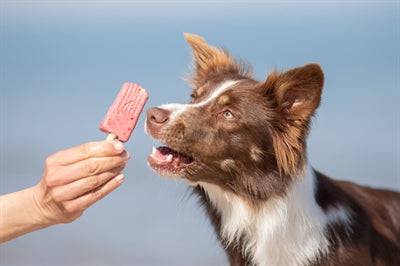 Trixie Sommar Ice Pop in red, 55g, featuring a colorful frozen treat for dogs, with a red and white striped design.