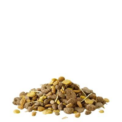 Versele-Laga Crispy Snack with Fiber, 550g, healthy bird treats in a clear package showing the crispy snack pieces.