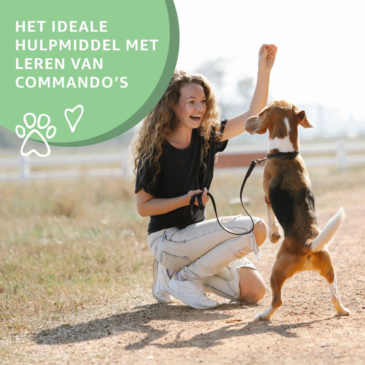 Natural Lamb Puppy Training Treats in a 100g pack from Woefwoefsnacks, featuring crunchy hondenkoekjes for puppy training.