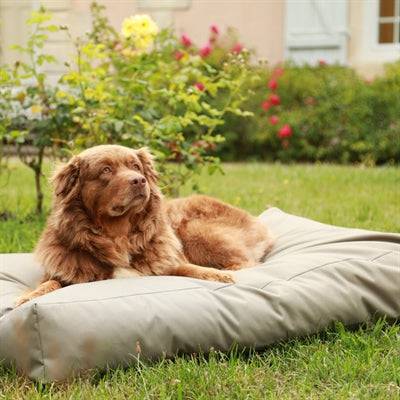 Zolux waterproof dog mattress in khaki, 91x60x23 cm, with durable polyester cover and 4-season waterproof design.