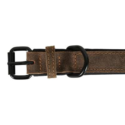 Zolux Expert Premium leather and neoprene dog collar in brown with matching leash, durable and comfortable for everyday use.